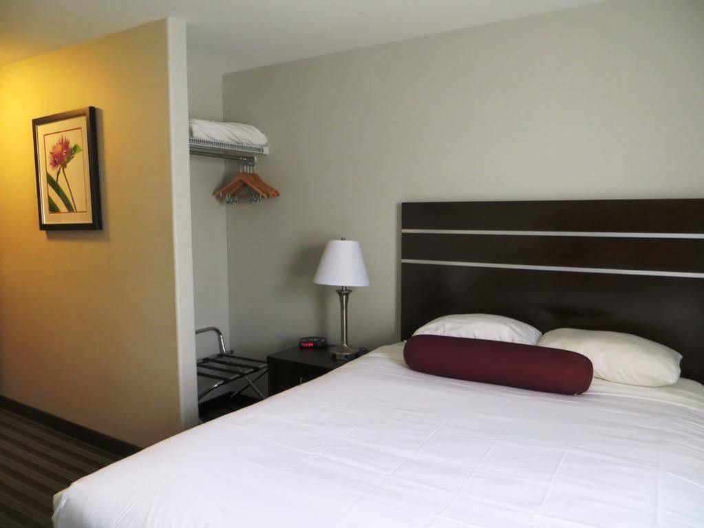 מלון Super 8 By Wyndham Saskatoon Near Downtown מראה חיצוני תמונה